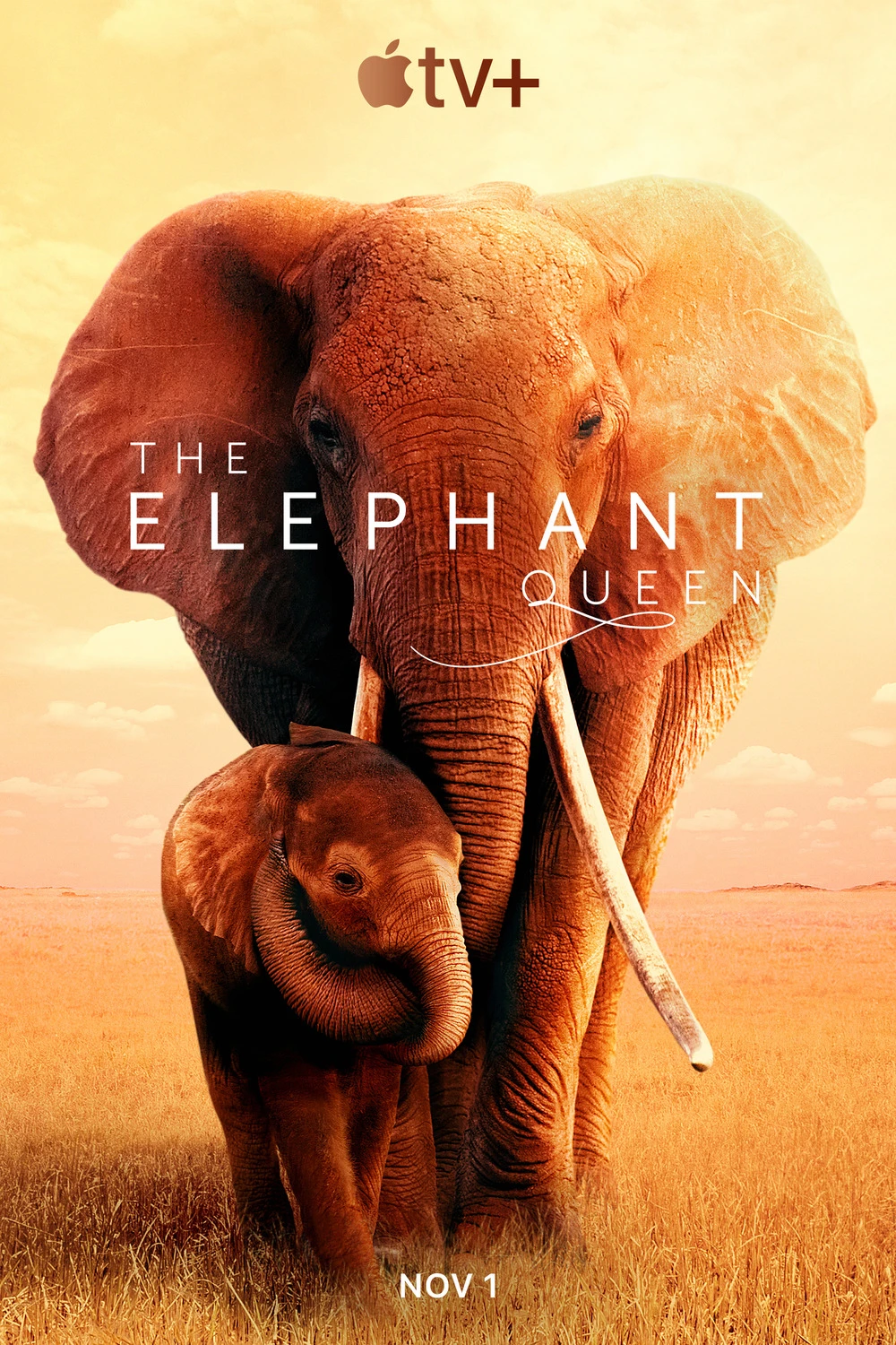 Nữ Hoàng Voi | The Elephant Queen (2019)