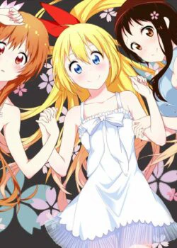 Tình Yêu Ngang Trái | NiseKoi (2013)